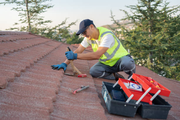 Gutter Installation and Roofing in Vega, TX